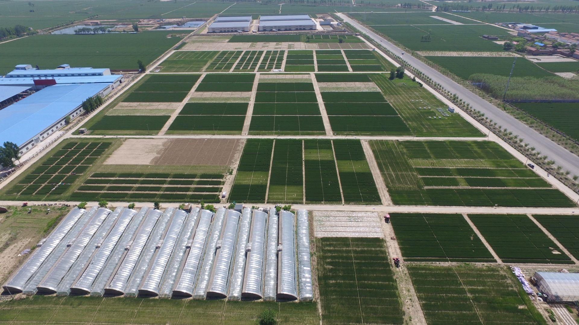 扎根大地育新人 农业技术革新引领爱国奋斗新篇章